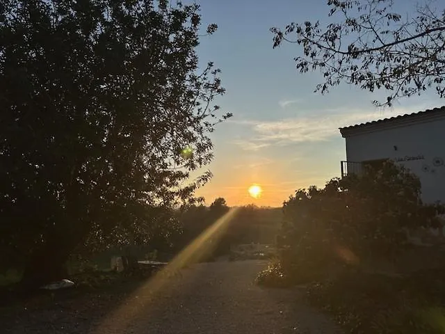 Girasoles Сasa de vacaciones *