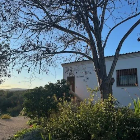 Girasoles Casa de Férias *